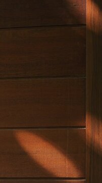 dappled sunlight shimmering on a warm wooden door surface, flickering tree shadows on wood texture, peaceful home interior background.