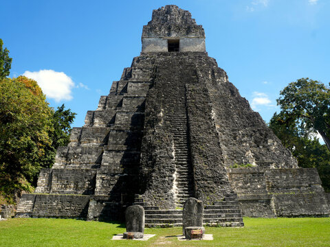 tikal pyramid - flores - Guatemala