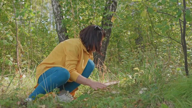 Woman exploring forest with dog. Person uncovering wild mushrooms beside tranquil camping site. Female adventurer identifies mushrooms in peaceful forest setting with loyal canine companion