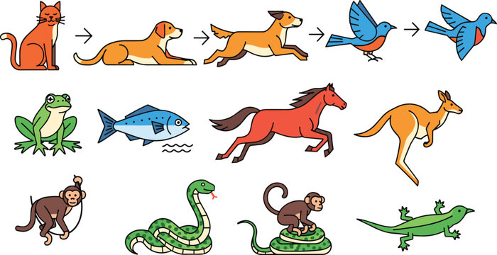 Animal Action Sequence and Movement Vector Set with Cat Dog Fox Bird Frog Fish Horse Kangaroo Monkey Snake Lizard for Educational Cartoon Illustration