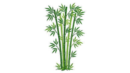 Fototapeta premium Bamboo Plant Stems with Green Leaves.
