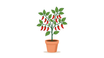 Obraz premium Potted Pepper Plant with Red Peppers.
