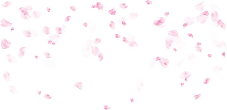 Pink rose petals scattered for a romantic wedding invitation background with copy space