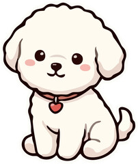 Fototapeta premium bichon 