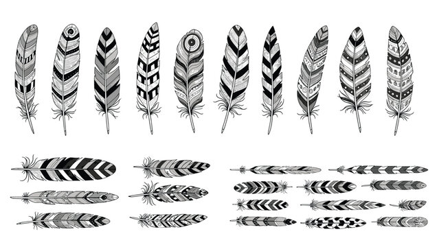 Collection of fourteen detailed black and white bird feather illustrations featuring diverse patterns and textures in multiple orientations.