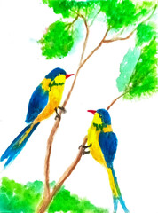 Naklejka premium Simple Watercolor Painting of Two Colorful Birds on Tree Branches