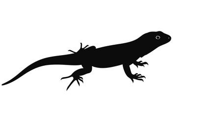 Obraz premium Black silhouette of a lizard.