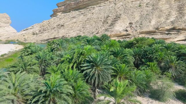Aerial view of a dense green palm oasis nestled between steep desert cliffs and a small turquoise river in Saudi Arabia.