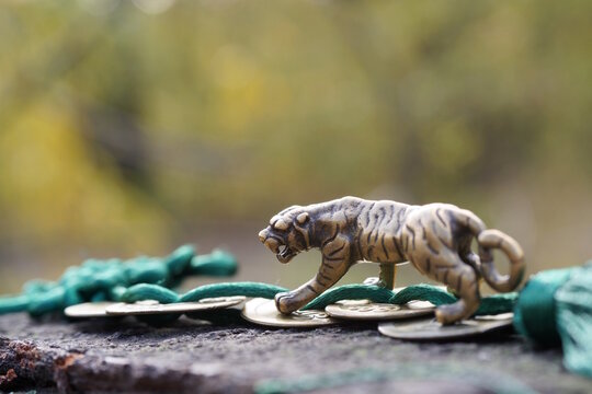 A tiger statuette with Chinese coins.