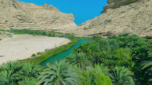 Aerial view of a river flowing through palm trees at the base of desert cliffs in Saudi Arabia.