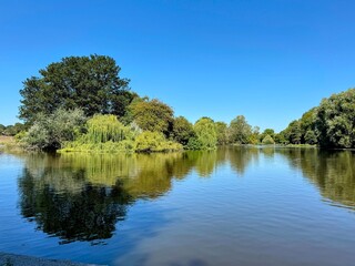 Obraz premium Tranquil Lake Mirrors Trees And Blue Sky In Peacefully Flowing Environment