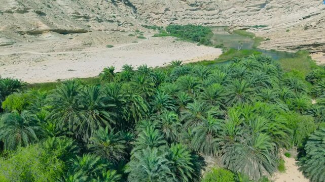 Aerial view of a lush green palm grove and turquoise river flowing through a rocky desert canyon in Saudi Arabia.