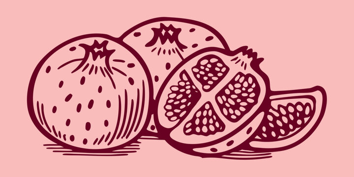 Vintage style illustration of pomegranates including a halved fruit