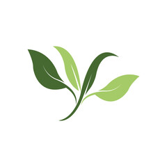 Obraz premium Logos of green leaf ecology nature element vector icon