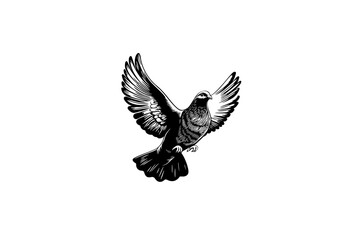 Fototapeta premium Holy spirit Dove vector illustration, black and white isolated