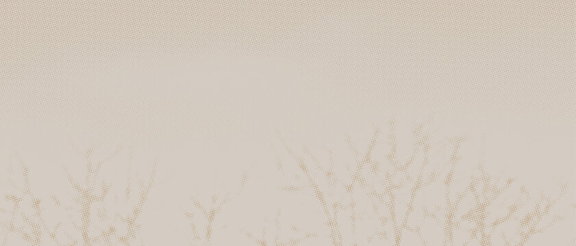abstract beige background with shadow of tree branches, wide photo