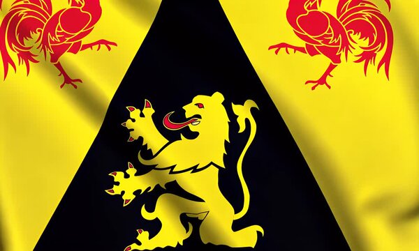 The national flag of Belgium features a lion and two roosters on yellow and black background