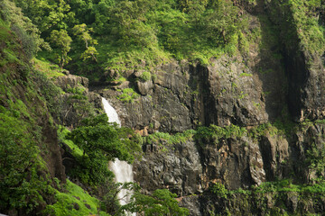Obraz premium Aerial top view of Fog covers forest, View from above