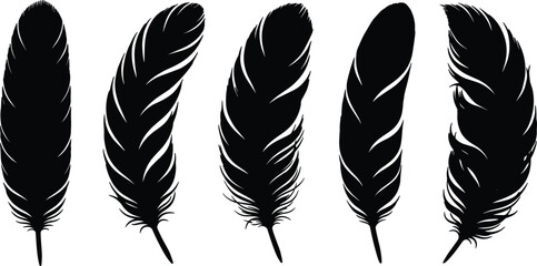 Obraz premium Premium feather silhouette set, black boho feather vector collection isolated on white background, tribal illustration bundle for logo, tattoo design