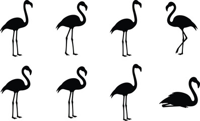 Obraz premium Premium flamingo silhouette set, black tropical bird vector collection isolated on white background, wildlife illustration bundle for logo, branding projects