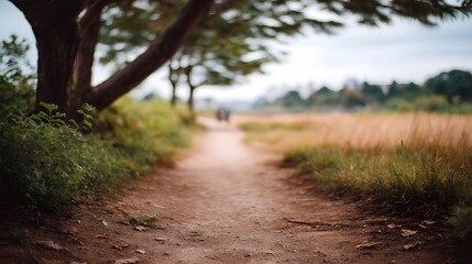 Fototapeta premium A tranquil dirt path meanders through a softly focused natural landscape with distant figures walking towards the horizon