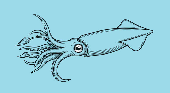 Highly detailed vintage style illustration of a large squid with tentacles and big eye on a soft light blue background.