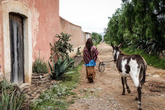 Woman Leading Donkey Down Rural Path in Mexico Village