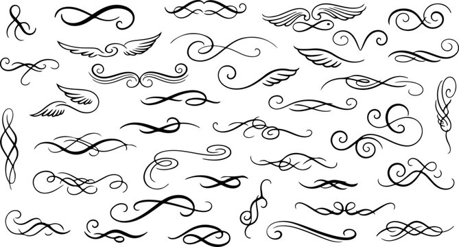 Calligraphic swirl and swash collection. Ornamental scroll elements for invitations, menus, certificates and refined design projects.eps