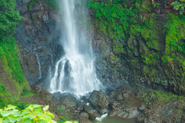 Obraz premium Beautiful Forest waterfall at morning