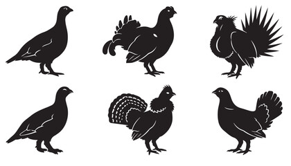 Fototapeta premium black and white vector silhouette set of grouse animal