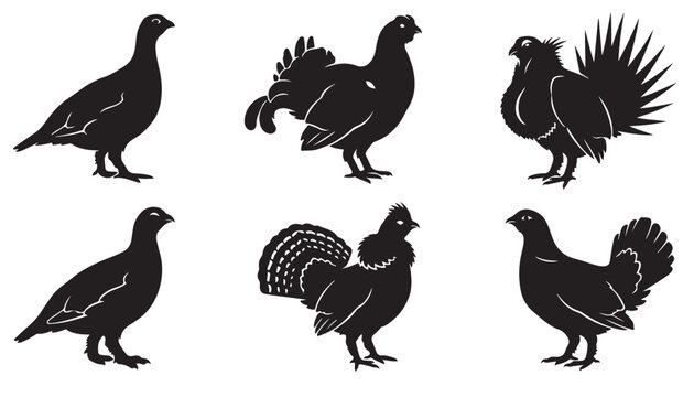 black and white vector silhouette set of grouse animal