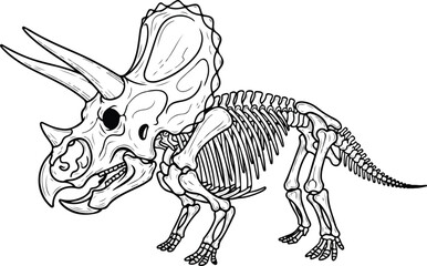Tyrannosaurus Rex Dinosaur Skeleton Fossil. © bayu