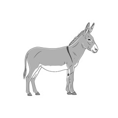 Fototapeta premium Grey donkey silhouette walking with soft shadows