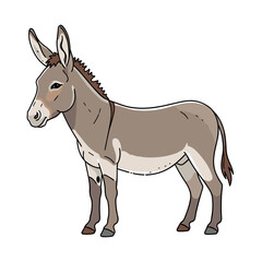 Fototapeta premium Brown donkey standing side view realistic vector