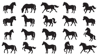 Fototapeta premium black and white vector silhouette set of pony