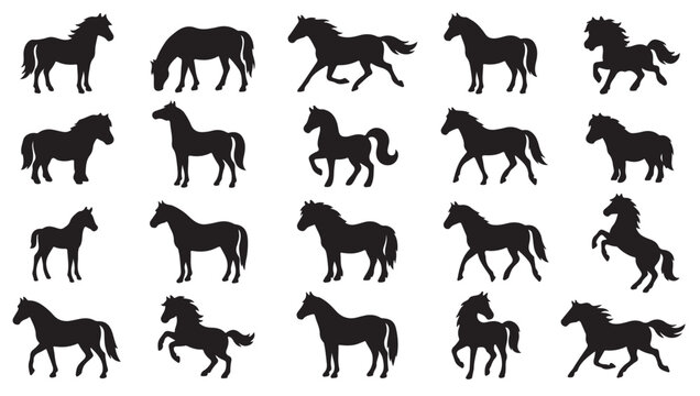 black and white vector silhouette set of pony