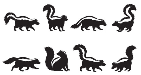 Obraz premium black and white vector silhouette set of Skunk 