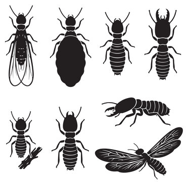  black and white vector silhouette set of termite