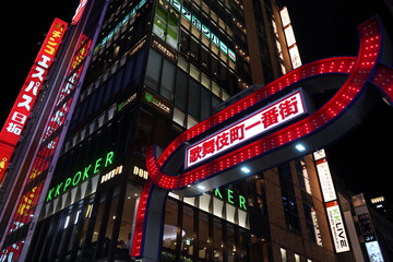 新宿の夜景に輝くネオンサインと近代的な高層ビル群。赤や緑の光が街を彩る都市の賑わい。 © BRUCE