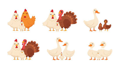 Cute poultry bird family set with chicken duck goose and turkey characters for children education and kids illustration © MdSirazul