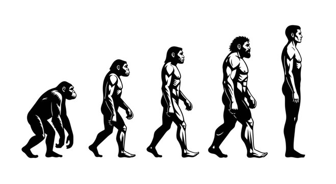 Human evolution from ape to man.