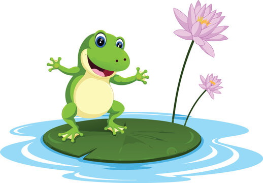 Cute green frog sitting on lily pad in pond with lotus flowers, happy amphibian nature scene, wildlife vector illustration isolated.