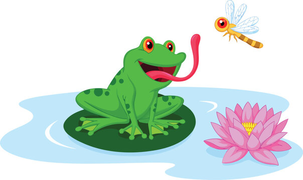 Green frog catching insect with tongue on lily pad, pond water scene with lotus flower and dragonfly, nature wildlife vector illustration isolated.