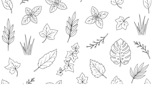 Hand Drawn Seamless Leaf Pattern Vector Black and White Thin Line Herb Botanical Icon Background