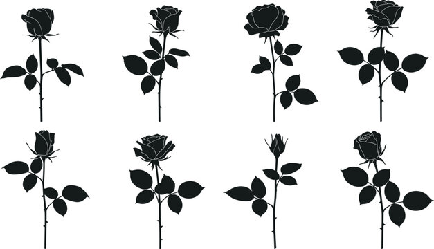 Set of eight black rose flower silhouettes with long stems and leaves isolated on a white background for floral vector design