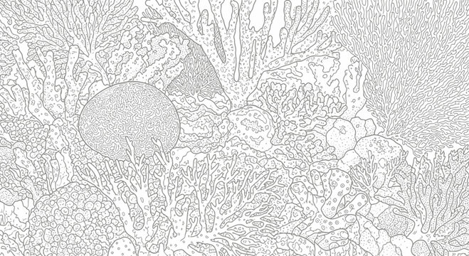 Coral Reef with Sea Life.