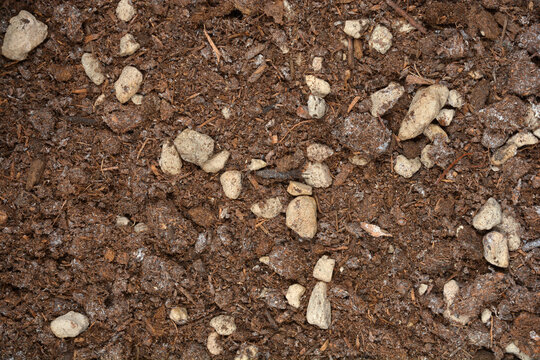 A rich brown texture of specialized citrus potting soil is mixed with white perlite stones and organic substrate for optimal drainage
