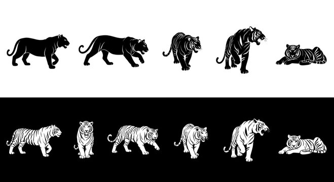Tiger Silhouette and Line Art Vector Set