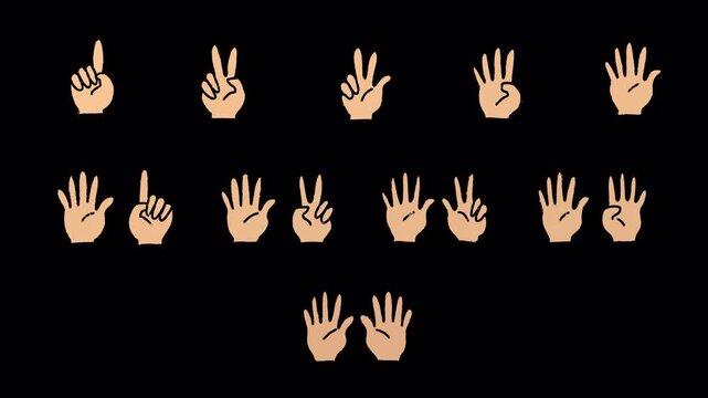 Hand Drawn Counting Hand Gestures 2D | Animated Finger Numbers Set | Transparent Background Alpha Overlay)