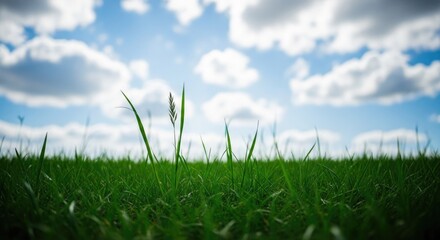 Obraz premium Celebrating world environment day with a serene green landscape and blue sky